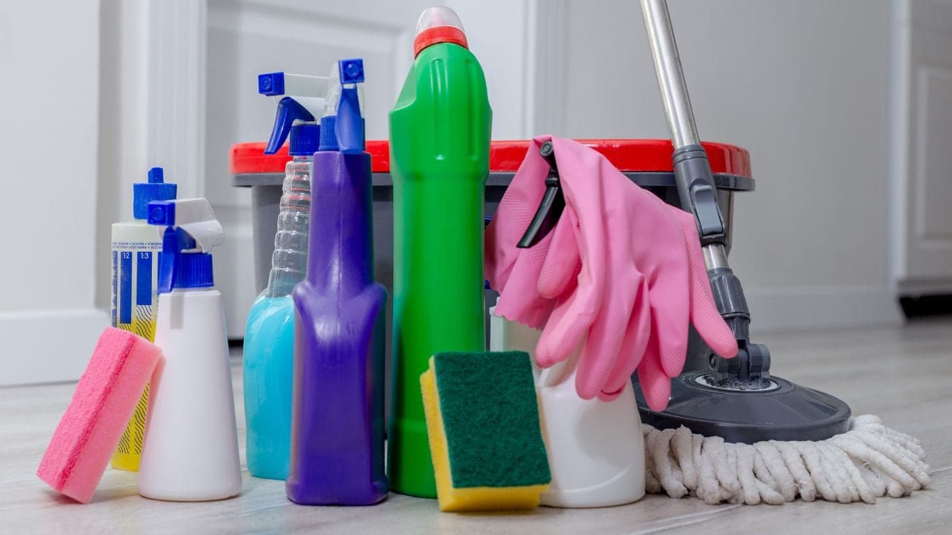 Vetted cleaner working in a London home